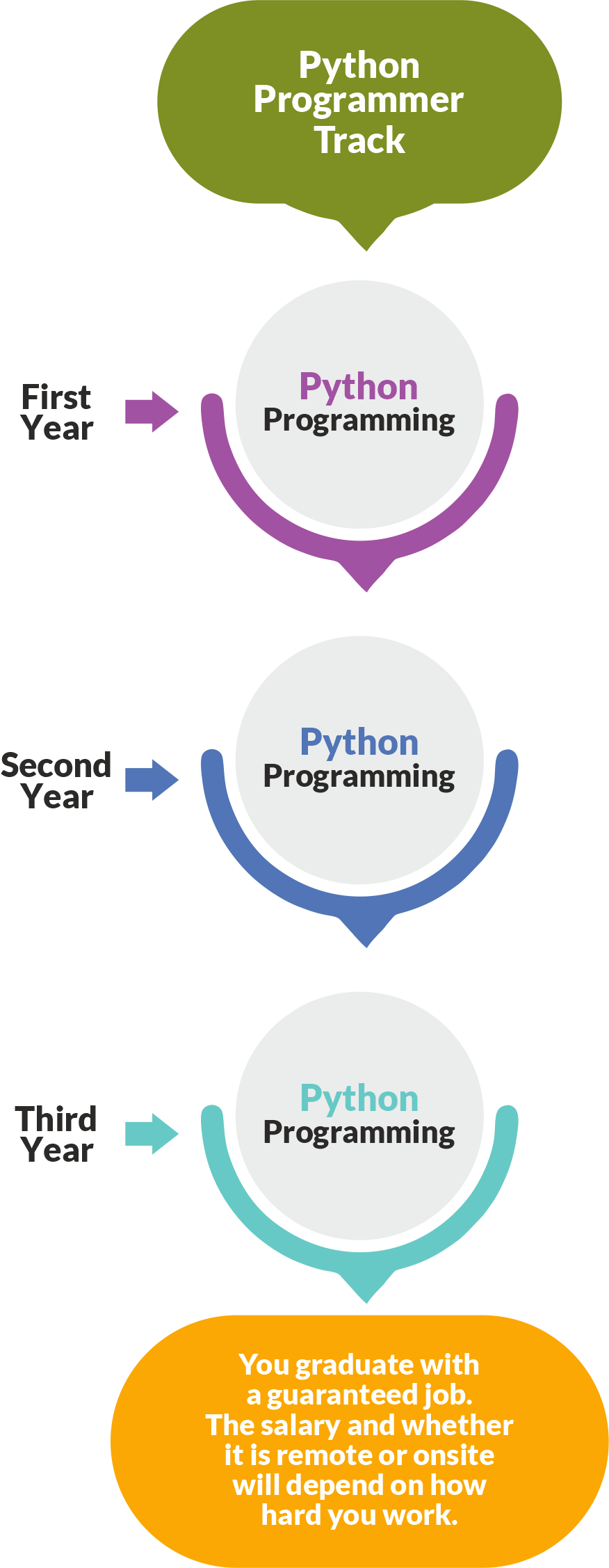 the-python-programmer-path